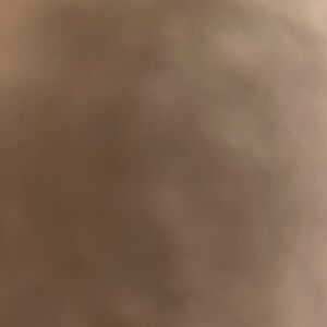 Hatchimals Colleggtibles 2-pack+nest